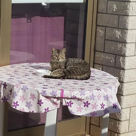 Apartmán Laurus Selce